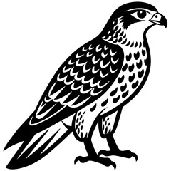 eagle vector illustration