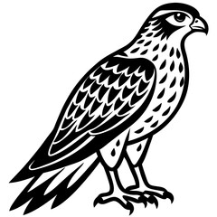 eagle isolated on white