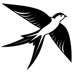 Obraz premium dove of peace