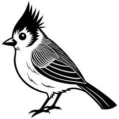 bird on a branch