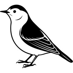 sketch of a bird
