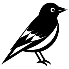 bird on a branch