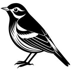 vector illustration of a bird