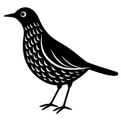 vector illustration of a bird