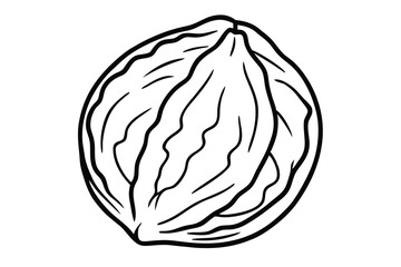 Black and White Line Art Illustration of a Walnut in Shell Detail