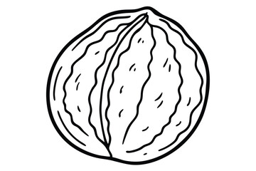 Line Drawing of a Whole Walnut, Isolated Black Outline on White Background, Food Illustration