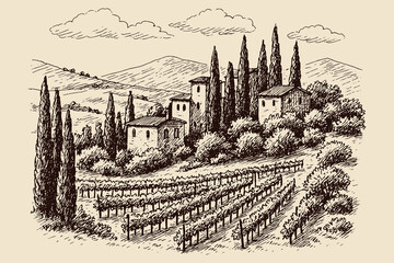 Tuscan vineyard landscape sketch vintage vector illustration

