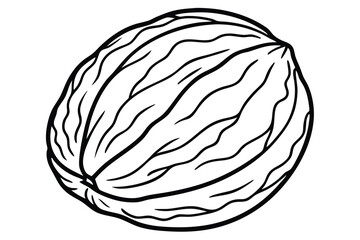 Stylized Line Art Depiction of a Single Walnut with Visible Grooves and Ridges