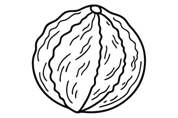 Black and White Illustration of a Round Melon with Distinctive Lines and Shape