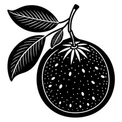 vector illustration of an orange fruit