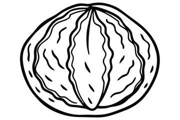 Black and White Outline Illustration of a HalfCut Walnut with Intricate Details