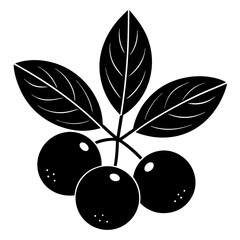 black olives vector illustration