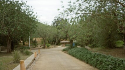 Blurred view of a mediterranean garden path surrounded by lush trees and greenery, creating an out-of-focus, serene atmosphere with bokeh effects enhancing the tranquil scene.