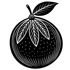 vector illustration of an apple