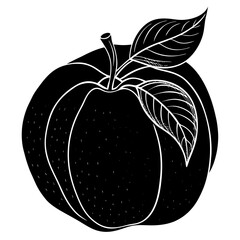 vector illustration of an apple
