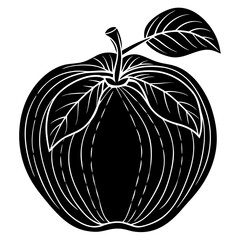 vector illustration of an apple
