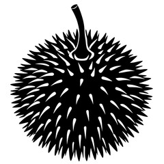 hedgehog on a black background