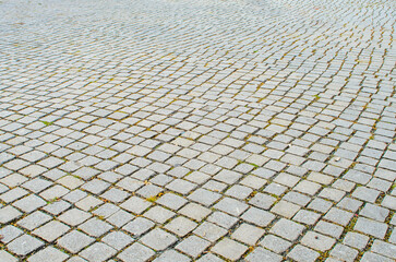 Curved Cobblestone Pavement with Perspective