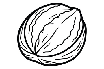 Black and White Illustration of an Unshelled Walnut with Detailed Texture Lines