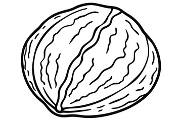 HandDrawn Black and White Illustration of an Organic Walnut Fruit With Shell