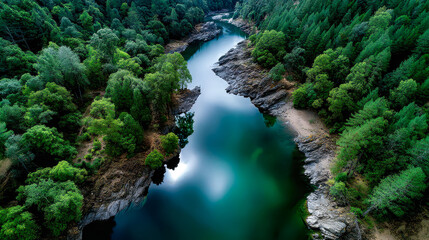 Winding river flows through lush green landscape, reflecting serene sky and vibrant foliage under soft sunlight
