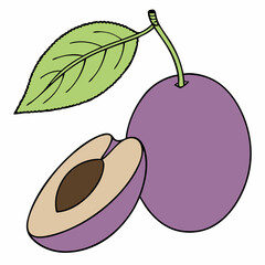 Simple Purple Plum Fruit with Green Leaf – Vector SVG Illustration