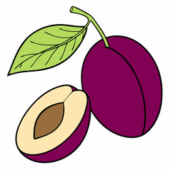Simple Purple Plum Fruit with Green Leaf – Vector SVG Illustration
