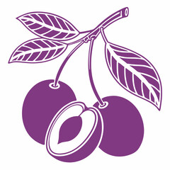Simple Purple Plum Fruit with Green Leaf – Vector SVG Illustration