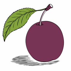 Simple Purple Plum Fruit with Green Leaf – Vector SVG Illustration