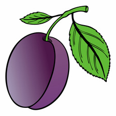 Simple Purple Plum Fruit with Green Leaf – Vector SVG Illustration