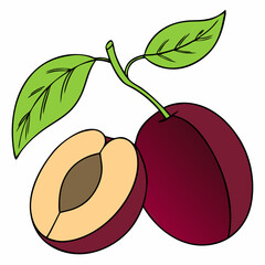 Simple Purple Plum Fruit with Green Leaf – Vector SVG Illustration
