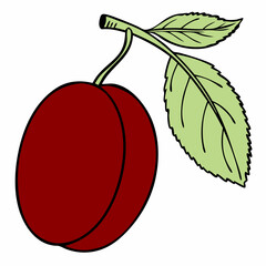 Simple Purple Plum Fruit with Green Leaf – Vector SVG Illustration
