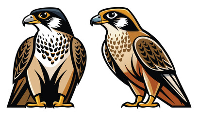 Photo of two falcon illustrations isolated on white background