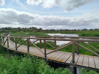 Obraz premium Laguna Fuente de Piedra