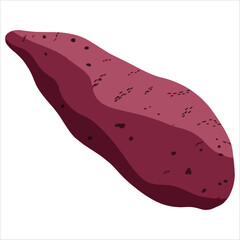 Fresh sweet potato vegetable illustration. Vibrant and healthy produce concept for cooking, recipes, and organic food themes.