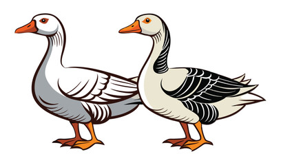 Obraz premium Photo of two geese isolated on white background