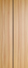 Obraz premium close up view of a wooden door