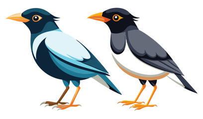 Fototapeta premium Photo of two asian birds isolated on white background