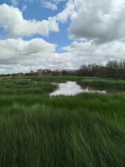 Laguna Fuente de piedra 