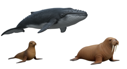 Majestic Whale Gliding Above a Curious Sea Lion and a Walrus Resting A Deep Dive into Ocean on transparent background