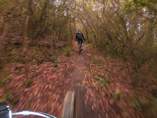 Chasing another rider on a cross country mountain bike race rider point of view inside a forest on a mountain bike trail