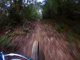Riding a mountain bike fast on a single track in the middle of the forest front wheel and ground point of view
