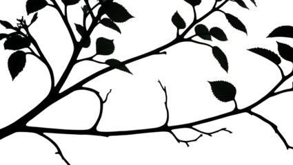 Subtle foliage branches against a dark backdrop evoking mystery with on transparent background