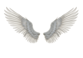 Pair of elegant white angel wings spread wide Isolated on transparent background representing freedom and grace