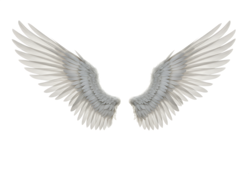 Pair of elegant white angel wings spread wide Isolated on transparent background representing freedom and grace