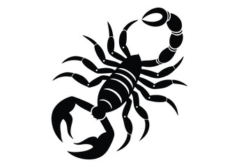 Scorpion Stinger Ready Desert Danger Motif silhouette