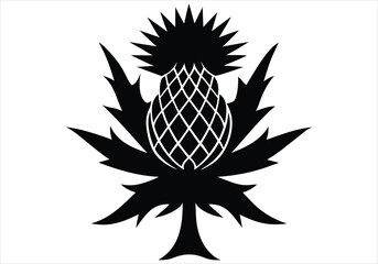 scottish thistle silhouette   proud   bold  