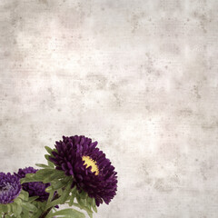 square stylish old textured paper background with autumn Aster