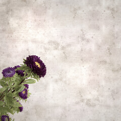 square stylish old textured paper background with autumn Aster