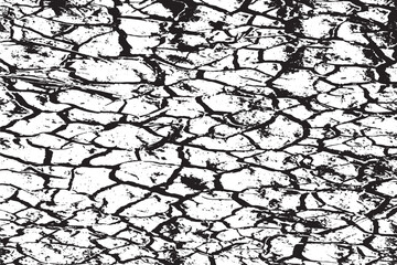 Obraz premium The Cracks Texture . Cracked Concrete . Cracked Ground . Cracked Wall . Vector Background . 